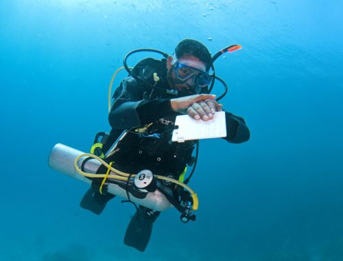 self reliant diver_0